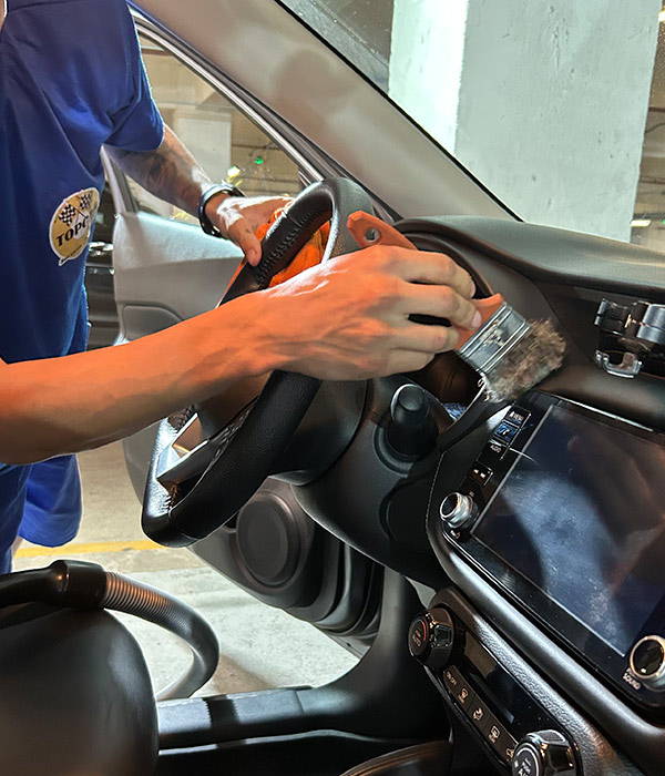 higienização interna